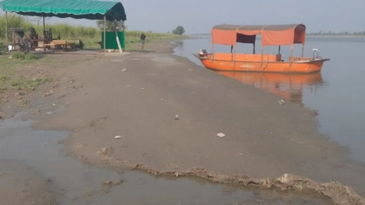 न्यायालय की प्रतिक्रिया और आगे की कार्यवाही